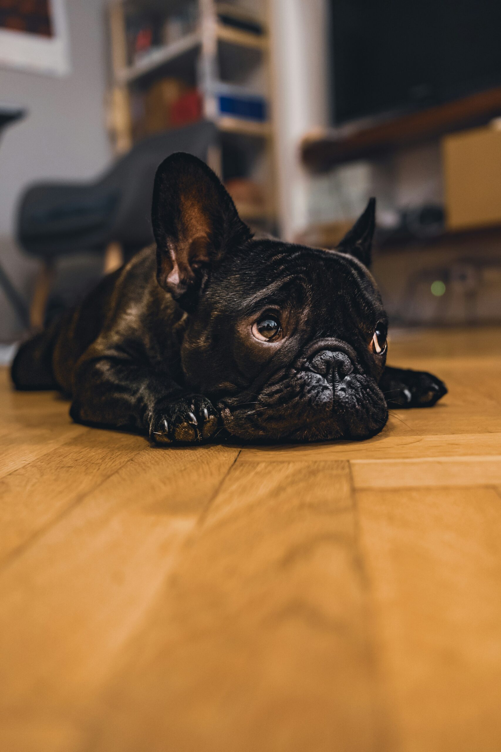 mikhail-mamaev-WvN2DFys0fY-unsplash